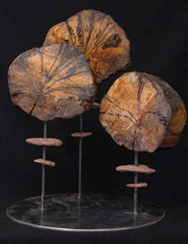 La Forza del Destino