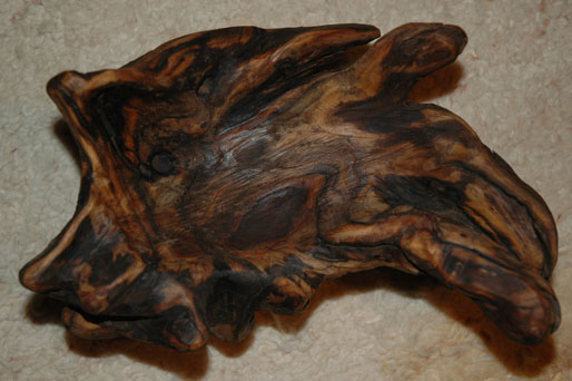 Verborgene Schönheit