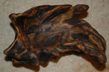 Verborgene Schönheit